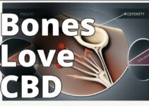The Best Title Is: How Cannabidiol Can Boost Bone Health: Benefits, Risks, And Forms Of Consumption