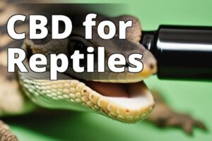 The Benefits Of Cannabidiol For Reptiles: A Comprehensive Guide