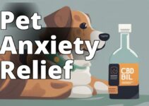 How Cannabidiol Helps Pets With Anxiety: A Comprehensive Guide