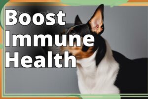 Discover The Benefits Of Cannabidiol For Pet Immune Health: A Comprehensive Overview