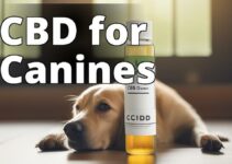 The Benefits Of Cannabidiol (Cbd) For Dogs: A Complete Guide