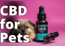 The Ultimate Guide To Cannabidiol For Small Animals In Pet Care