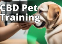 How Cannabidiol Can Revolutionize Pet Training: Benefits And Considerations