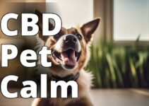 The Ultimate Guide To Using Cbd For Your Pet’S Behavioral Problems