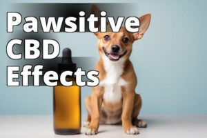 The Ultimate Guide To Cannabidiol For Pet Health And Wellness