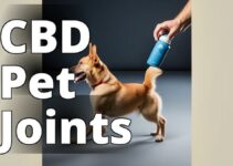 Choosing The Right Cannabidiol Products For Your Pet’S Joint Health