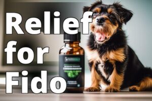 Cannabidiol For Pet Skin Conditions: A Natural Solution For Inflammation And Itching