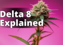 Delta 8 Vs Real Weed: Which One Is Right For You? A Complete Guide