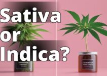 The Ultimate Guide To Choosing Between Sativa And Indica Cannabis Strains