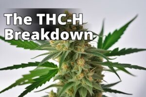 Understanding Thc-H: Differences, Safety, And Availability